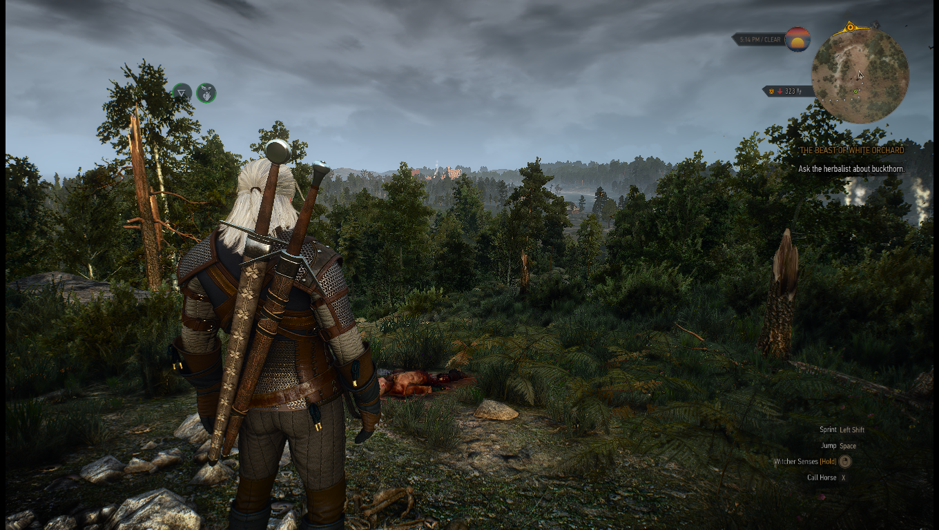 The settings are cranked, the framerate takes a hit, but it looks much better than the low settings
