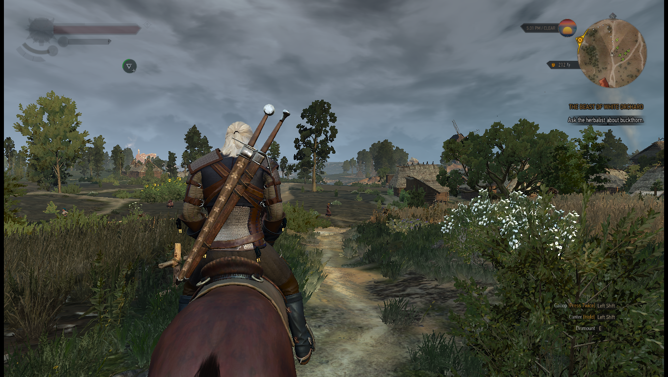 Witcher 3 on low in the beginner area. Textures are blurry, foliage looks terrible, it doesn't look amazing.
