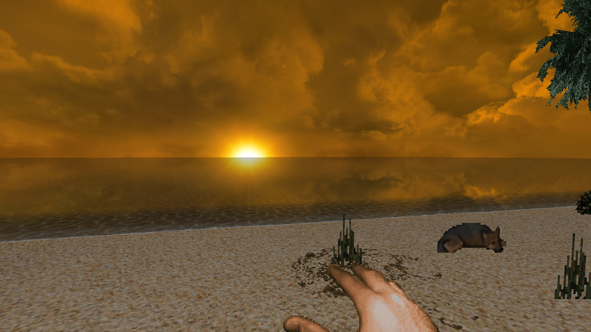 The beach found only after beating the game correctly